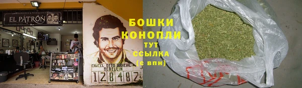 spice Богданович