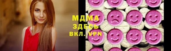 a pvp Бородино