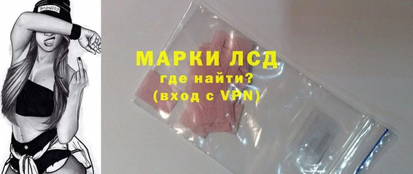 spice Богданович