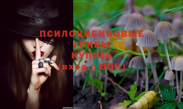 a pvp Бородино